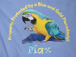 Anyone with experience with chemo treatment (in the PA area)