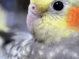 Count to 1,000,000