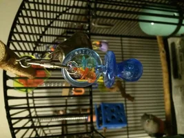Special pics of my boys!