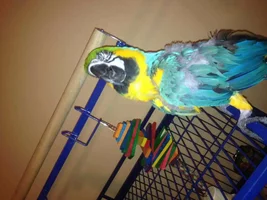 Pics of Lucy ..