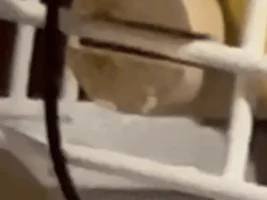 How do you remove a dowel perch from your cage?