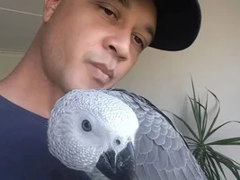 Meet Gabby
