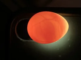 Remove eggs? And update!