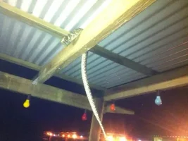 Snake proof cage?