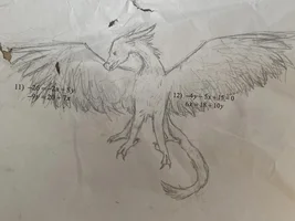 More drawings
