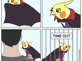 The best Bird meme!!