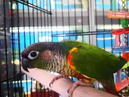Need help with an ID??