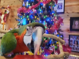 December 2022 POTM Contest