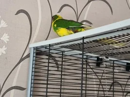 This is Sunny