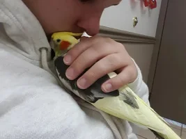 so upset and so scared