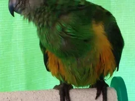 It bit me!!!