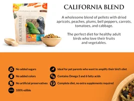 Best Green Cheek Conure Diet