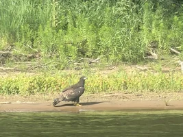 Minnesota