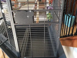 Cage for Sale!