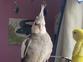 New baby!