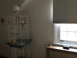 New Blackout shade - is this dark enough