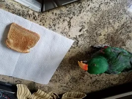 I guess not