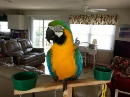 Frankie's first vacation