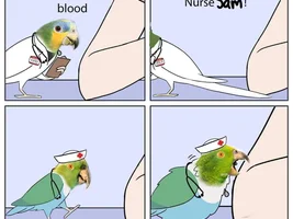 Kirby’s Capers