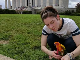 Ollie goes on vacation to Washington DC!