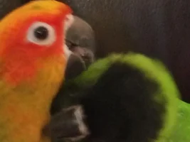 Idea what’s going on here?