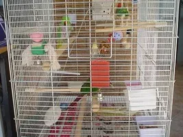 The tiels cage!!!