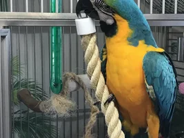 WakaWaka's Old Photo Album