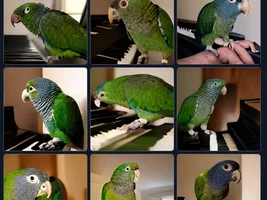 AI pics