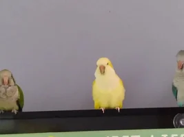 Taking requests!