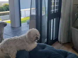 Is it that a male,,, or female?