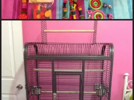 Cage & toys