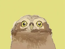 Drawing birds