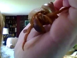 I never introduced my pets....
