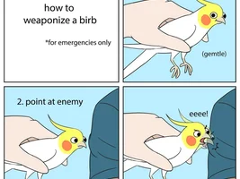 Parrot jokes/ memes