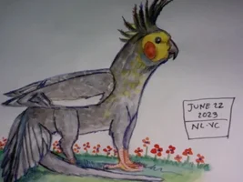 Domnijoe Pets and Art