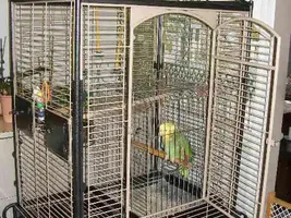 optimal cage size for an amazon?