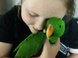 My daughter Ember, with her feathered brother "Yoda".