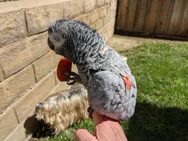 Learning to fly?