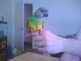 New Member please assist