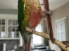 This is mine!