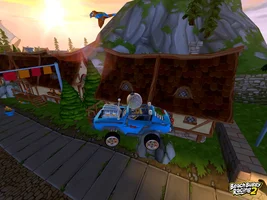Games with birds