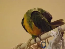 Pics of Jake