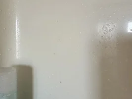 Bathtime for a macaw