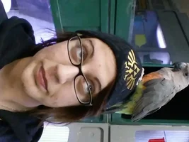 what kind of bird is this?