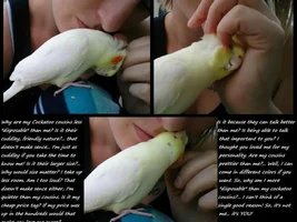 For all those Tiels out there!