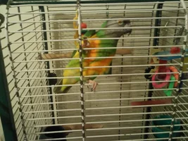 Pics!