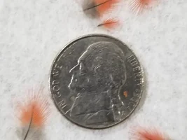 Tiny Feathers