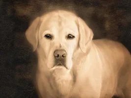 Tami2's Old Photo Album