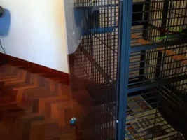 Cage/Aviary Maintenance Tips