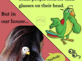 The best Bird meme!!